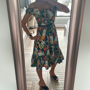 J crew postcard dress size 4